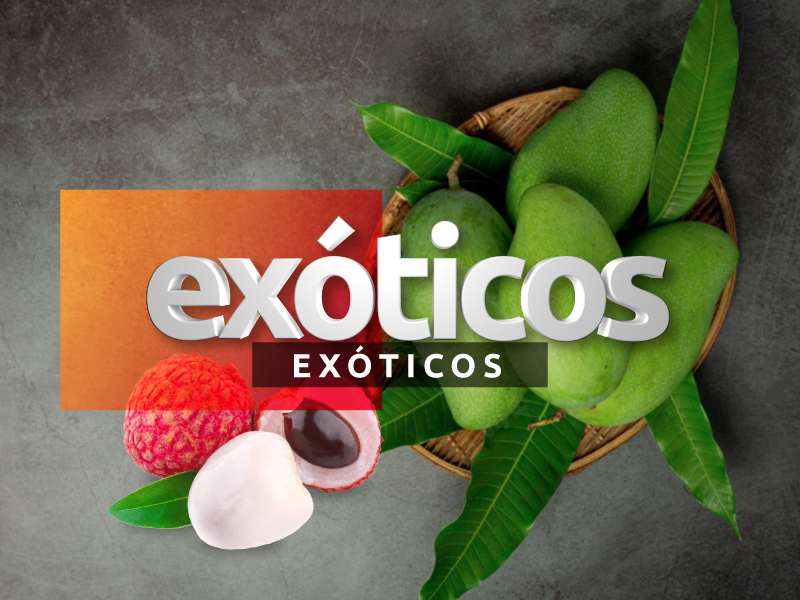 Exoticos