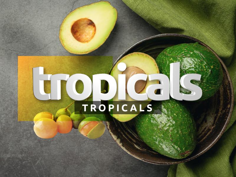 tropicales
