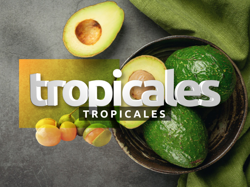 tropicales