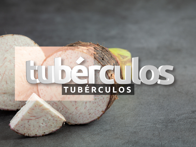 tuberculos