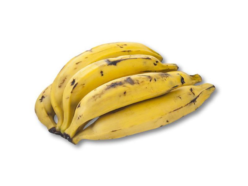 plantain