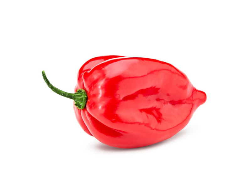 Habanero Rojo