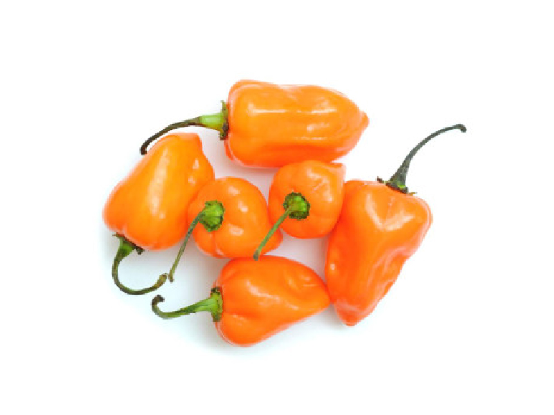Habanero Naranja