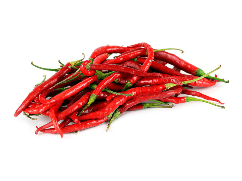 Chile Arbol