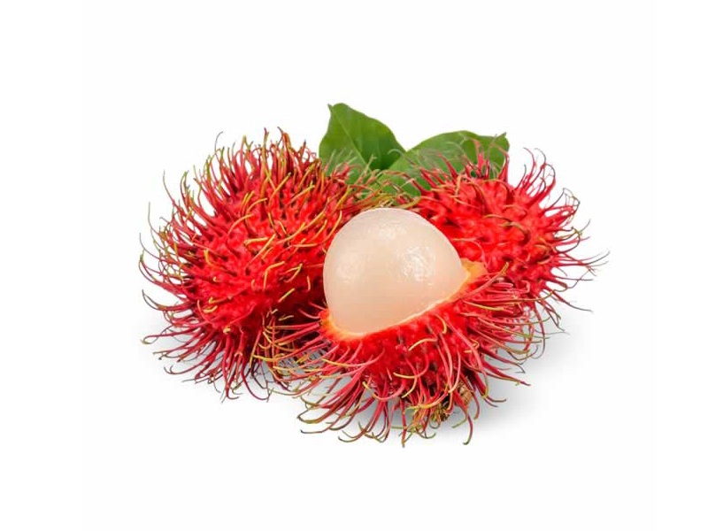 Rambutan