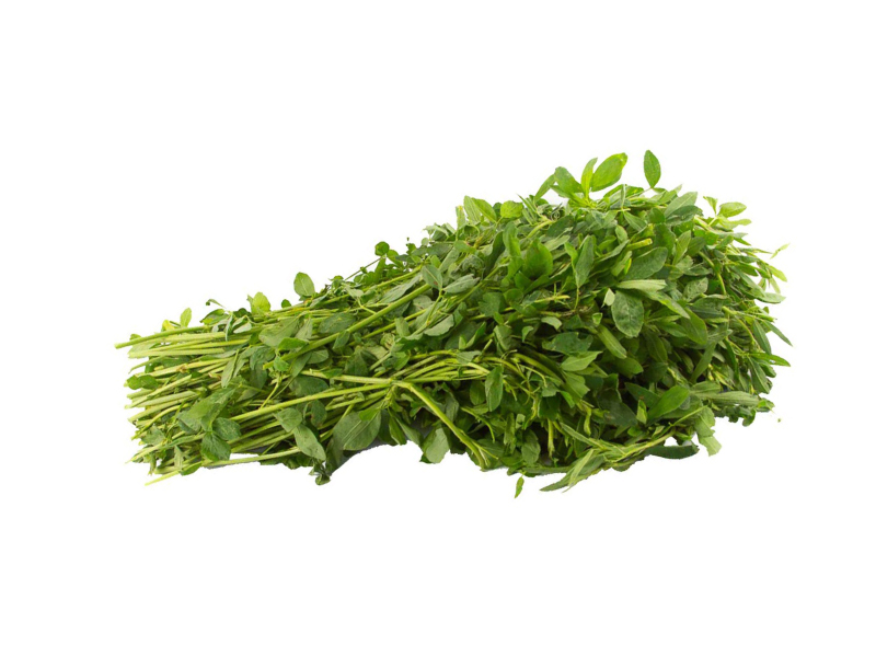 Chipilin