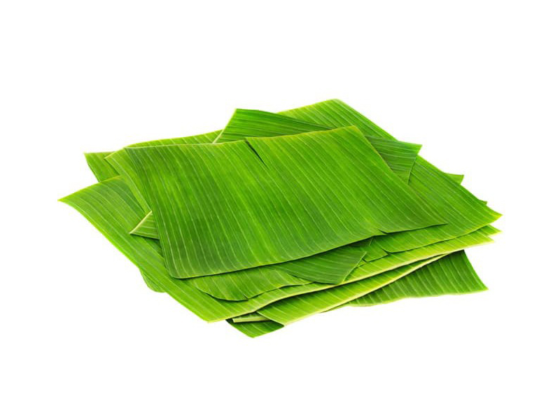 Hojas de platano
