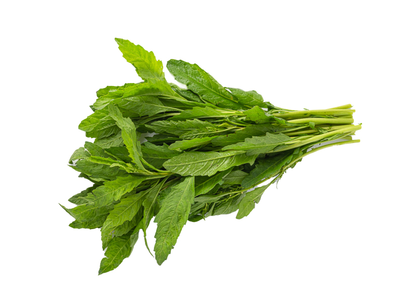 Epazote