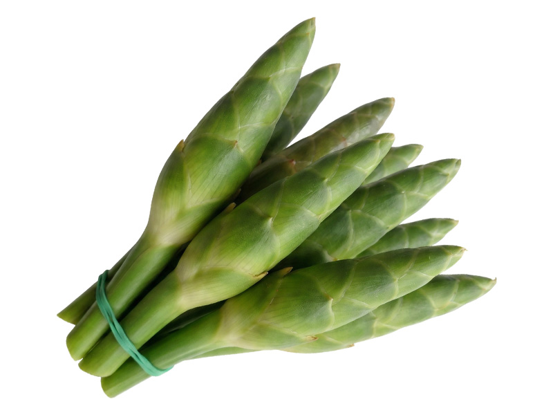 Herb