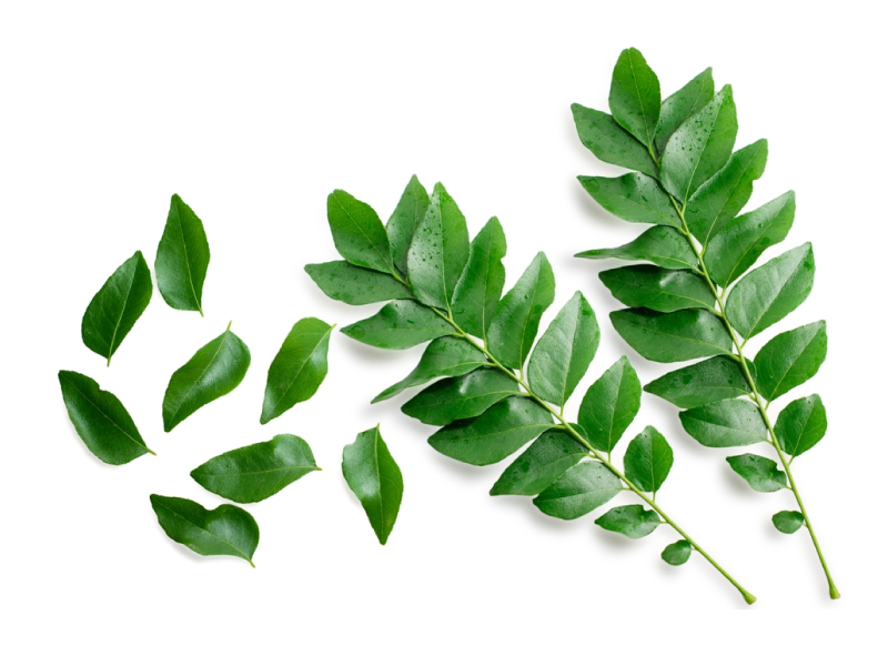 Curry Leaves