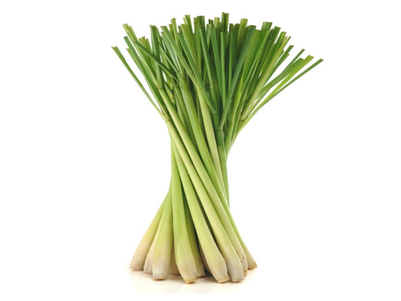 Lemon Grass