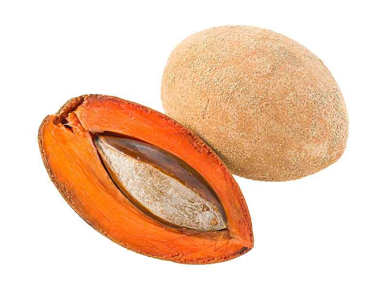 Mamey