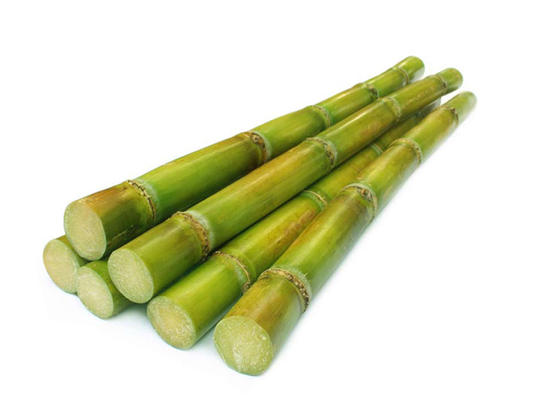 Caña Verde