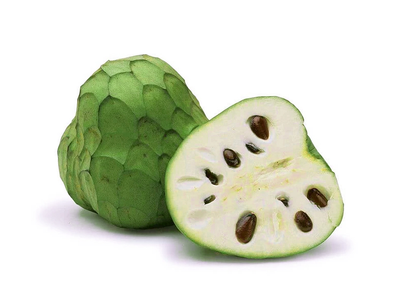 Chirimoya