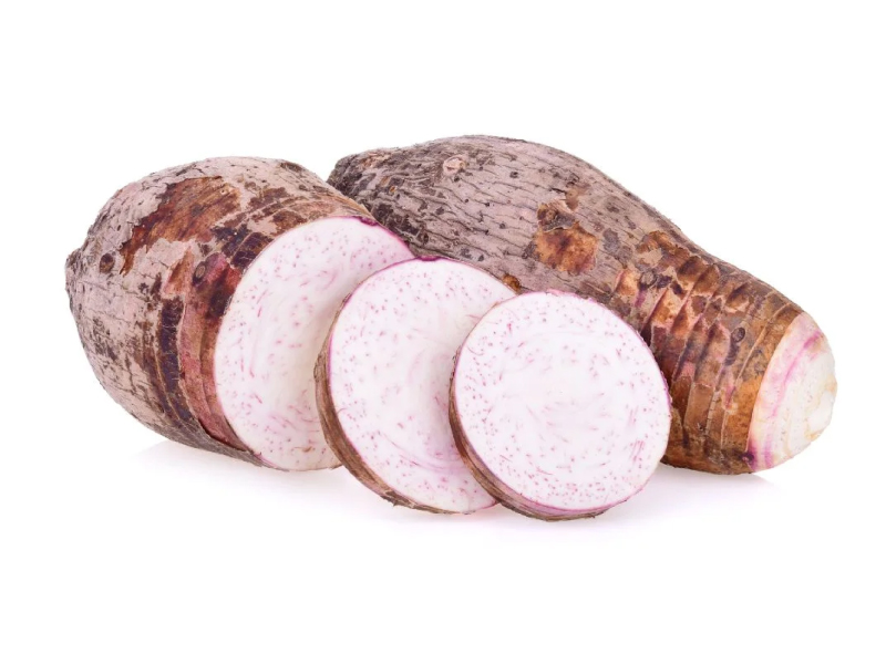 Tubérculo