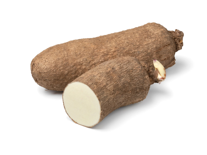Tubérculo