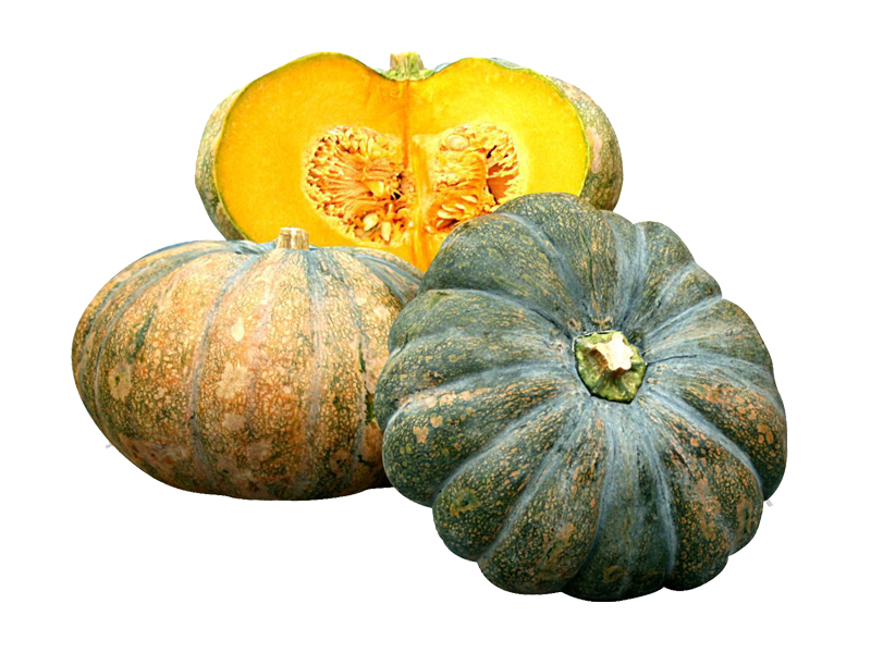 Calabaza Arjuna